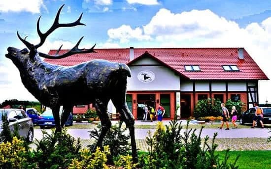 Milicz gdzie zjeść - odkryj najlepsze restauracje i smaki regionu