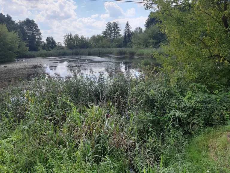 Najciekawsze atrakcje w Błoniu, które musisz zobaczyć podczas wizyty