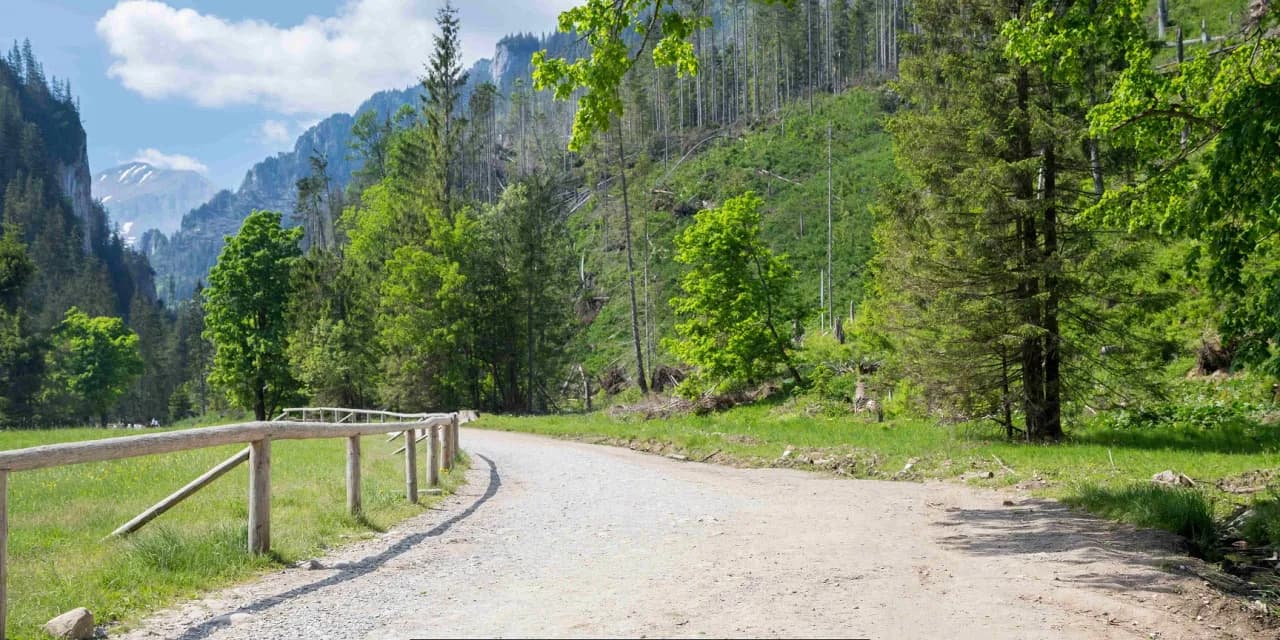 Najlepsze atrakcje w Kościelisku, które musisz zobaczyć na urlopie