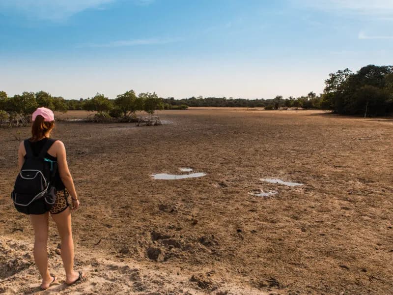 Senegal czy jest bezpiecznie? Poznaj zagrożenia i cenne wskazówki