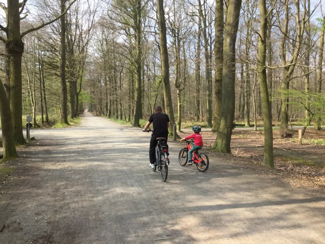 Czy w Belgii jest bezpiecznie? Odkryj zagrożenia i bezpieczne miejsca