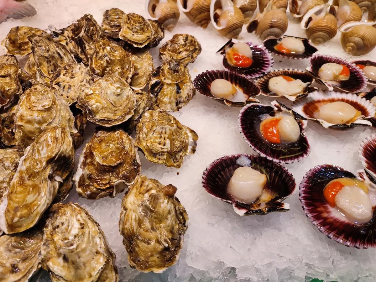 Gdzie zjeść w Maladze? Odkryj najlepsze lokalne smaki i restauracje