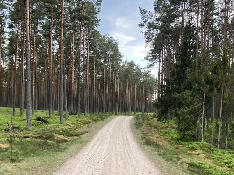 Najlepsze atrakcje w Dziemianach, które musisz zobaczyć na wakacjach