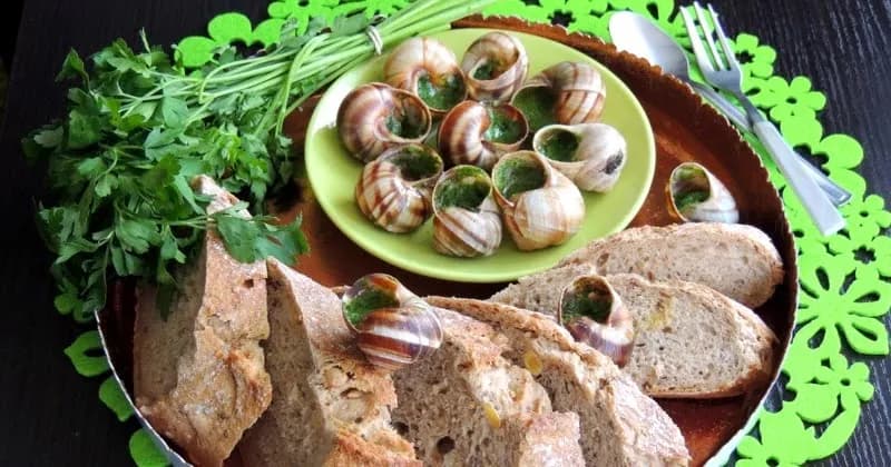 Escargots: kulinarne skarby, zdrowotne korzyści i historia ślimaków