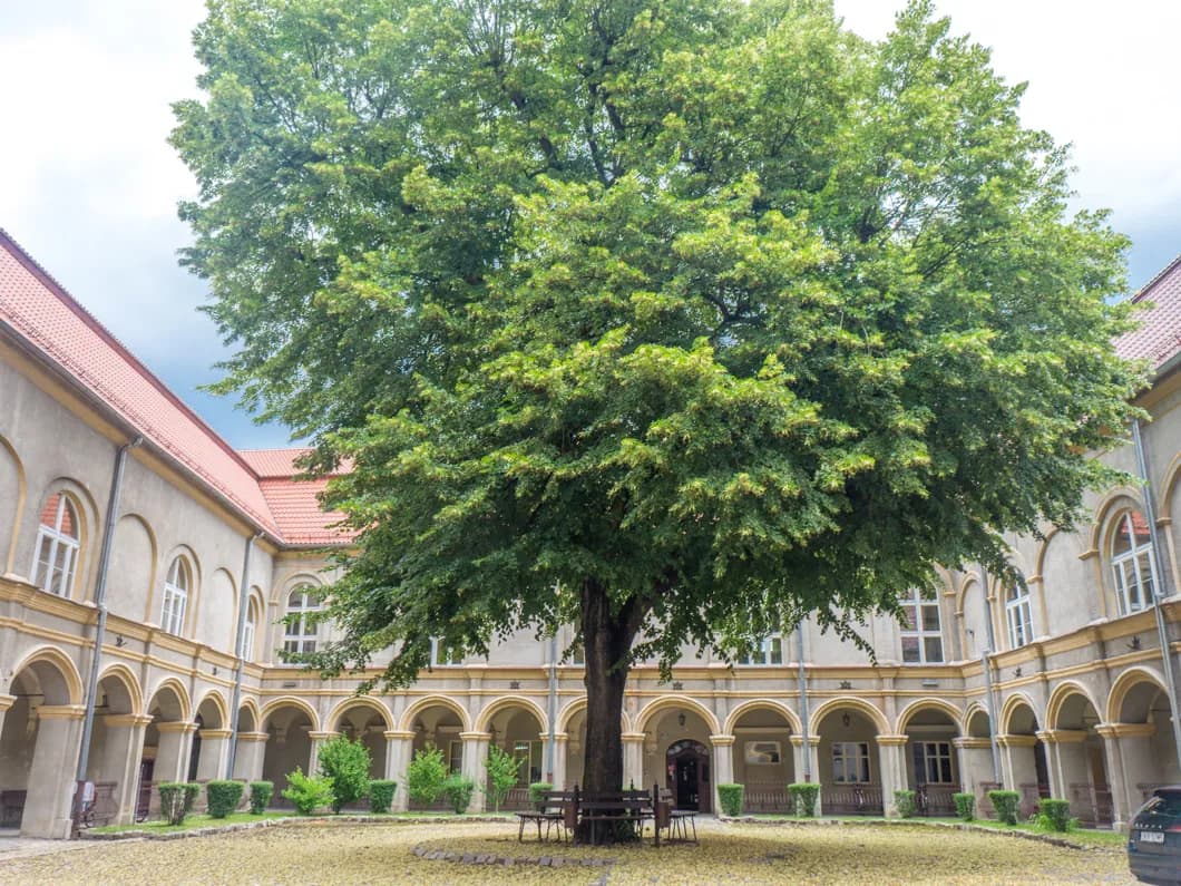 Najciekawsze atrakcje w Krapkowicach, które musisz zobaczyć