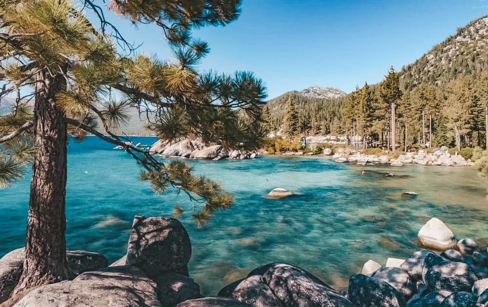 Najlepsze atrakcje w okolicy, które musisz zobaczyć w tym roku