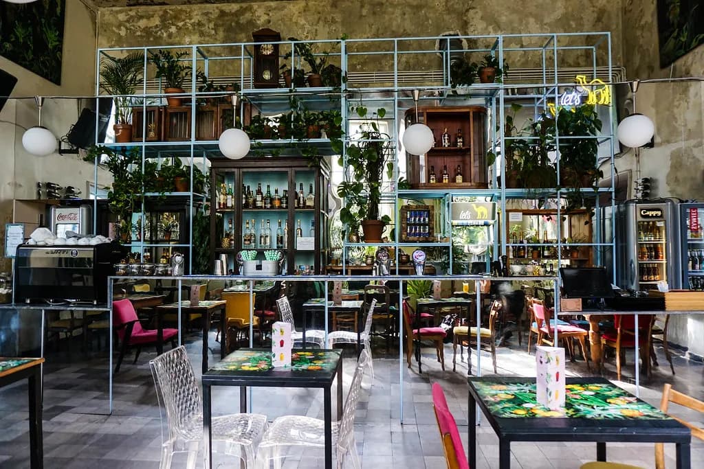 Gdzie zjeść w Nowym Targu? Odkryj najlepsze restauracje i smaki