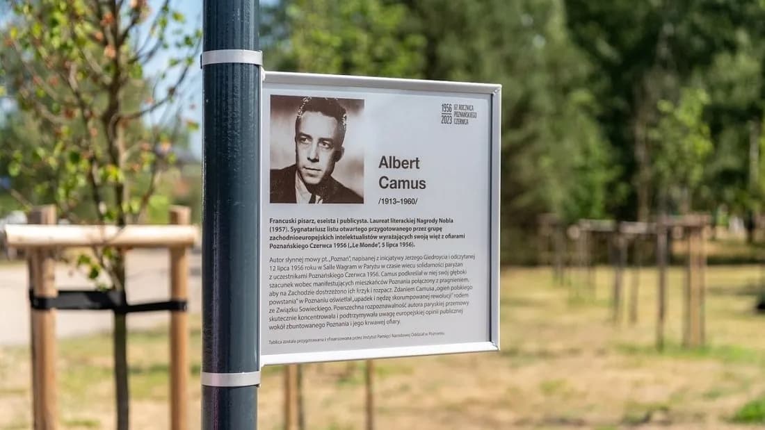 Albert Camus - jego życie, filozofia i wpływ na literaturę